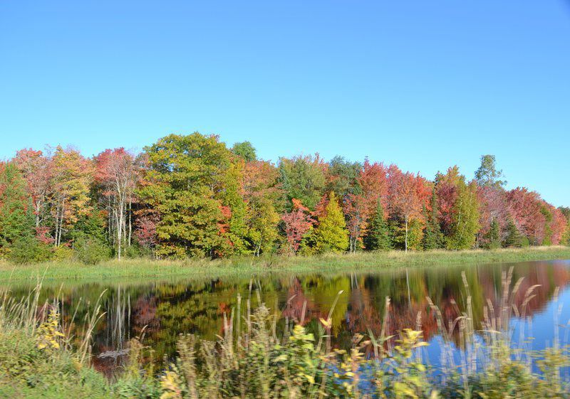 Reflections of fall